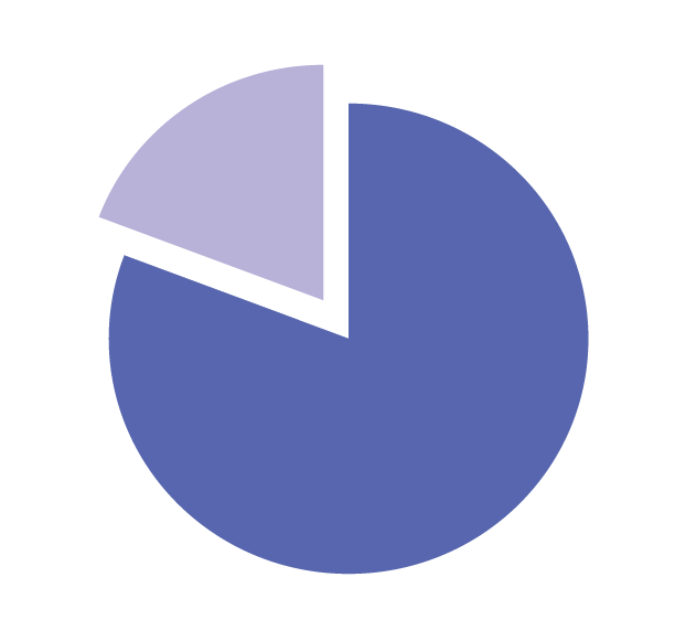 The 80/20 Model